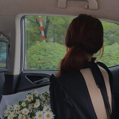丁香花开的兽道